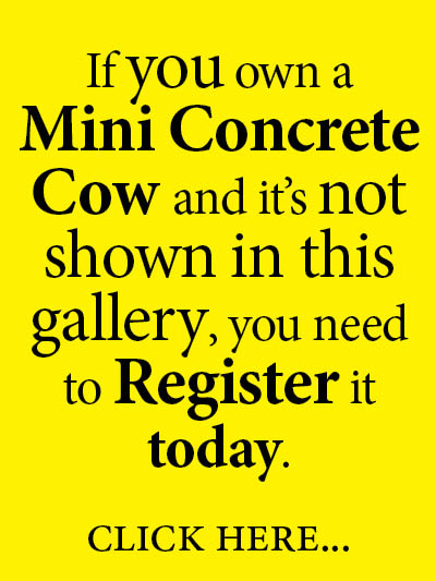 If you own a Mini Concrete Cow and it's not shown in this gallery, you need to Register it today. Click here...